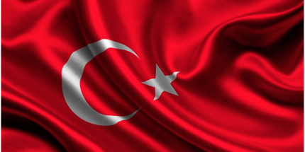 Ordu Tek Yürek, Tek Ses