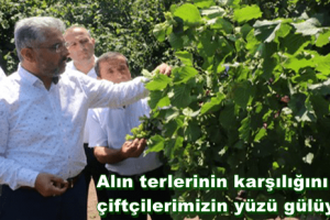 Başkan Ersan Aksu: "Fındık Üreticisinin Yüzü Gülüyor"
