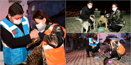 Başkan Tören ve Eşi Sokak Hayvanlarını Elleriyle Beslediler