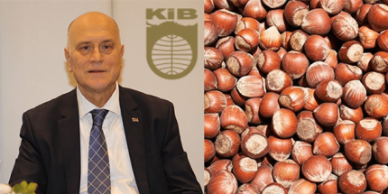 Türk Fındığı İthalatına Uygulanan Aflatoksin Kontrollerine Son Verildi