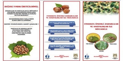 Fındık Zararlıları İle Mücadelede Yeni Seferberlik