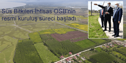 Terme’ye Dev İstihdam Projesi