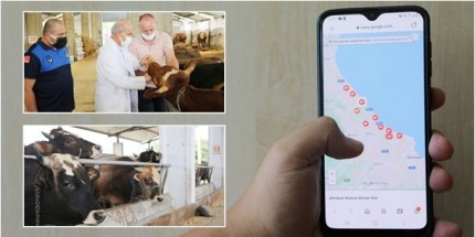 Atakum Belediyesi’nden e-kurban Ve e-kesim Yerlerine Anında Erişim