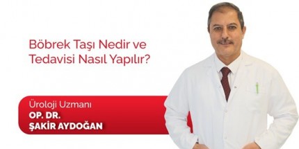 Böbrek Taşı Nedir ve Tedavisi Nasıl Yapılır?