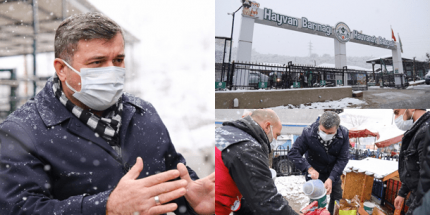 Karlı Havalarda Can Dostlar Unutulmadı
