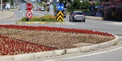 Begonya ve Kadife Çiçekleri Rize’yi Süsleyecek