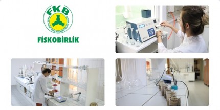 Fiskobirlik’ten Fındık Üreticilerine Uyarı: Toprak Analizi Yaptırın
