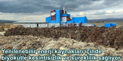 Enerjide Biyokütle Avantajı