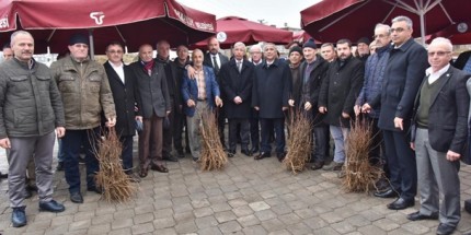 Tekkeköy’de Çiftçilere 2 Bin 500 Kestane Fidanı Dağıtıldı