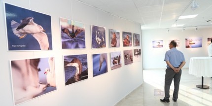 Nesli Tükenen Kuşlar Fotoğraf Sergisi