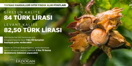 Cumhurbaşkanı Erdoğan 2023 Sezonu Fındık Alım Fiyatlarını Açıkladı