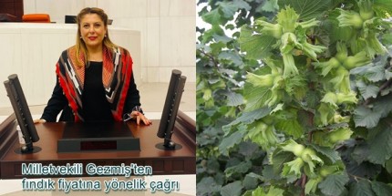4 Dolar Kırmızı Çizgimizdir