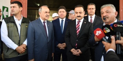TMO Ordu’da Fındık Alımına Başladı 