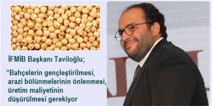 Fındıkta Yapısal Sorunlar Acilen Çözülmeli