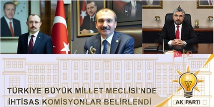 Samsun Milletvekilleri Meclis Komisyonlarında Görev Aldılar