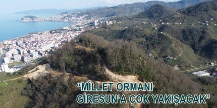 Giresun Millet Ormanı’na Kavuşuyor
