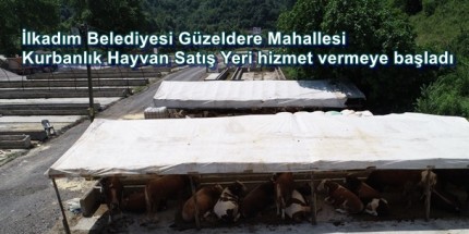 İlkadım Hayvan Pazarına İlk Kurbanlıklar Geldi