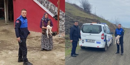 Sürüden Geri Kalan Kuzunun Sahibini Zabıta Buldu