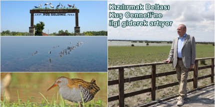 Büyülü Güzelliğe Ziyaretçi Akını