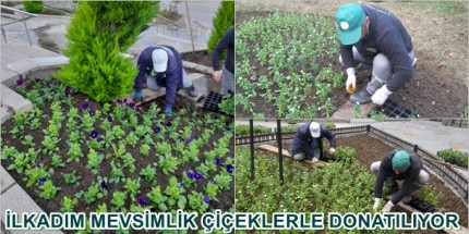 100 Bin Mevsimlik Çiçek İlkadım’a Renk Katacak
