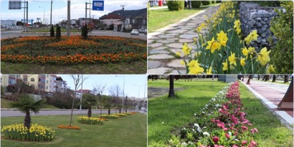 Ordu, Rengarenk Çiçeklerle Süsleniyor