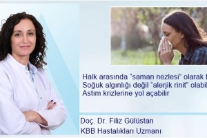 Alerjik Rinite Karşı 10 Etkili Öneri