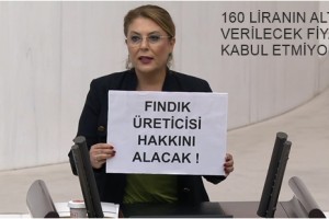 Fındıktan Geçim Olmazsa Gündemde Seçim Olur