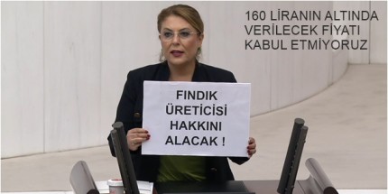 Fındıktan Geçim Olmazsa Gündemde Seçim Olur