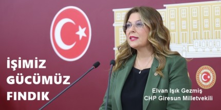 Fındık Fiyatları Bir An Önce Üreticinin Hak Ettiği Miktarda Açıklanmalı