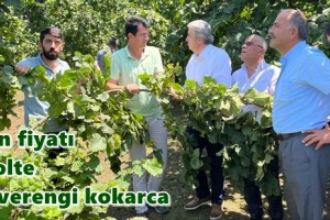 Milletvekili Murat Çan Terme’de Fındık Üreticileriyle Bir Araya Geldi 