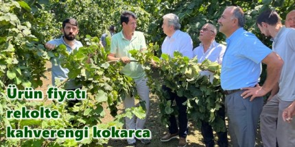 Milletvekili Murat Çan Terme’de Fındık Üreticileriyle Bir Araya Geldi 