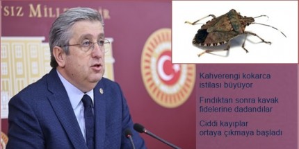 Milletvekili Murat Çan: “İktidar Görevini Savsakladı Üreticimizi Perişan Etti”