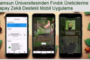 Fındık Üretiminde Kayıpların Önüne Geçilecek