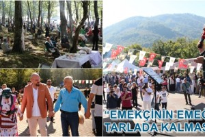 Atakum Belediyesi 1. Fındık Festivali’ne Yoğun İlgi