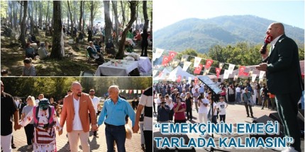 Atakum Belediyesi 1. Fındık Festivali’ne Yoğun İlgi