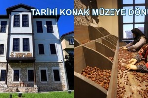 Fındığın Serüveni Bu Müzede 