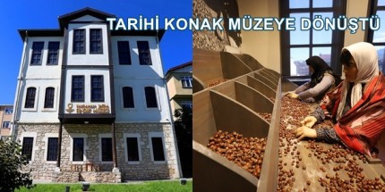 Fındığın Serüveni Bu Müzede 
