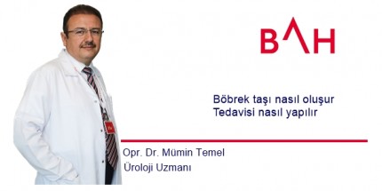 Gelişmiş Teknoloji İle Böbrek Taşı Tedavisi Artık Daha Kolay