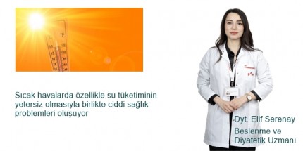Sıcak Havalarda Nasıl Beslenilmeli ?