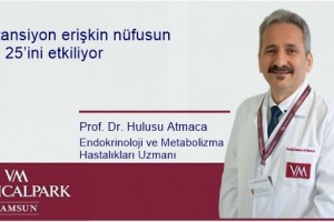 Böbrek Üstü Bezi Yüksek Tansiyona Neden Olabilir