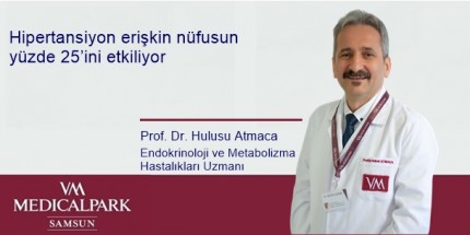 Böbrek Üstü Bezi Yüksek Tansiyona Neden Olabilir