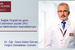 Çevre Kirliliği İnsan Sağlığını Tehdit Ediyor