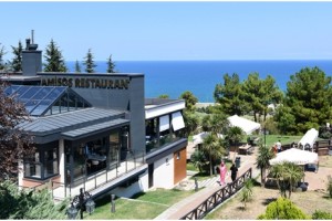 Amisos Kafe ve Sevgi Kafe Yoğun İlgi Görüyor