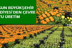 Çöpten Üretilen Çiçekler Şehri Süslüyor