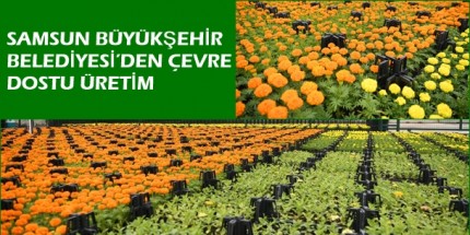 Çöpten Üretilen Çiçekler Şehri Süslüyor