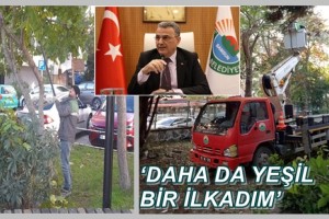 İlkadım’da Ağaçlar Kent Estetiği İçin Budanıyor