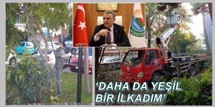 İlkadım’da Ağaçlar Kent Estetiği İçin Budanıyor