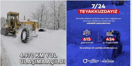 Ordu'nun Tüm İlçelerinde Kar Yağışına Karşı Tedbirler Alındı
