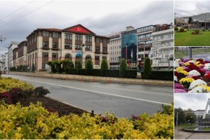 Kış Çiçekleri Ordu’nun Güzelliğine Güzellik Katıyor